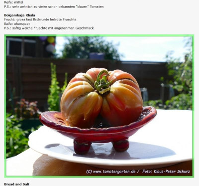PurTomatengartenBilder.jpg