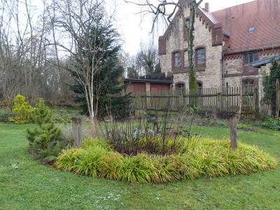 2021-12-05 Birkenhain 3.jpg