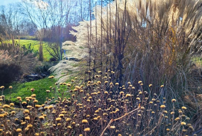 20211206_121051.jpg
