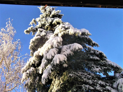 DSCF4646.JPG
