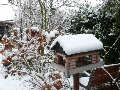 211210_Garten.jpg