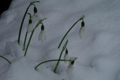 DSCF5515.JPG