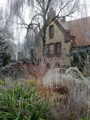 2021-12-11 Gartenimpressionen 9.jpg
