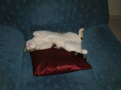 DSCF0025.jpg
