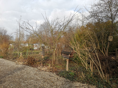 Wäldchen Mirabelle 20211211.jpg