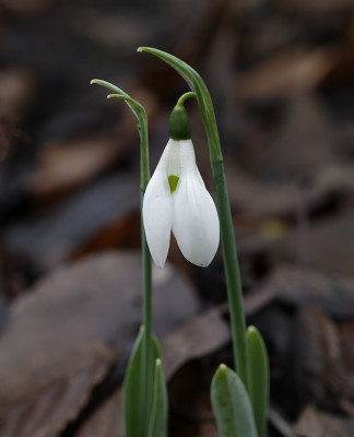 DSC_3959_DxO.jpg