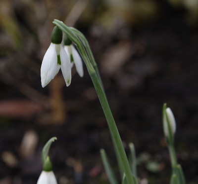 DSC_3961_DxO.jpg