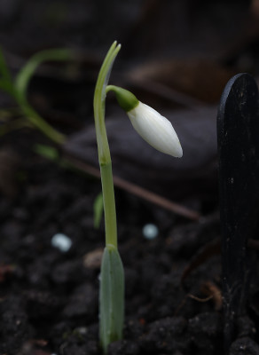 DSC_3958_DxO.jpg