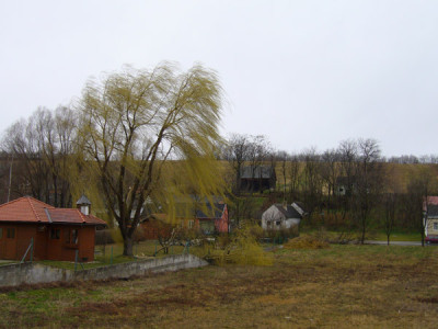 P1070336.jpg