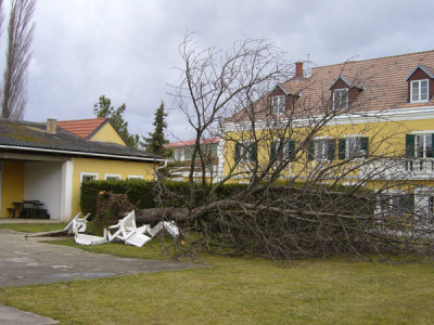 P1070367.jpg