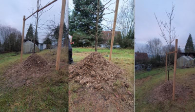 Bildschirmfoto 2021-12-17 um 16.53.11.png