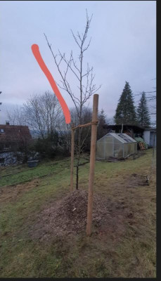 Bildschirmfoto 2021-12-17 um 17.23.07.png