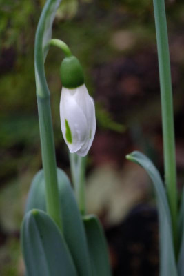 DSCF5543.JPG