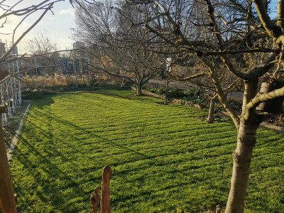 Rasen Winter.jpg