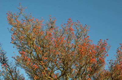DSC_3096.JPG