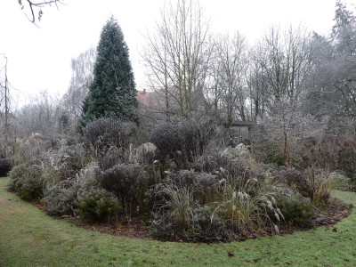 2021-12-11 Garteneinblick 3.jpg
