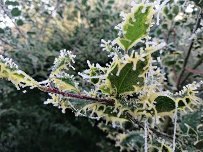 DSC_3504.JPG