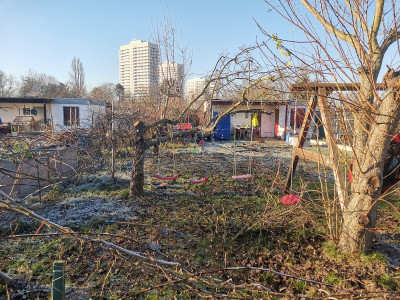 Schaukelbaum.jpg