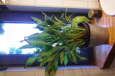 K5110112.jpg