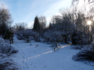 2021-12-25 Gartenimpressionen 1.jpg