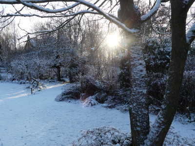 2021-12-25 Gartenimpressionen 22.jpg