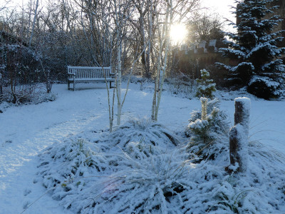 2021-12-25 Gartenimpressionen 5.jpg
