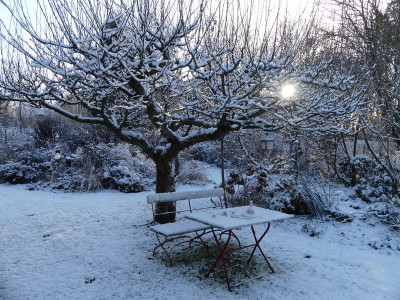 2021-12-25 Gartenimpressionen 7.jpg