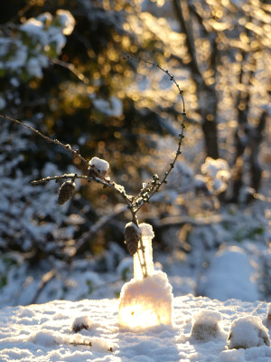 2021-12-25 Gartenimpressionen 16.jpg