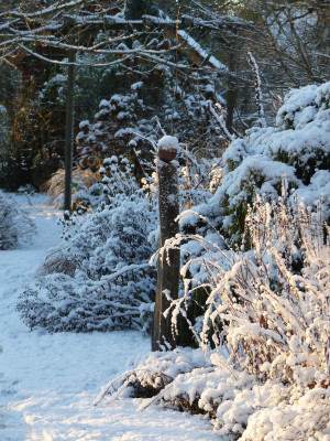 2021-12-25 Gartenimpressionen 18.jpg