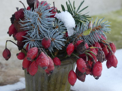 2021_1226Weihnachten20210060.JPG