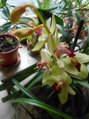 DSCN3468.JPG