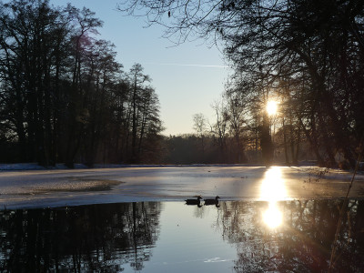 2021-12-26 Schlosspark 5.jpg
