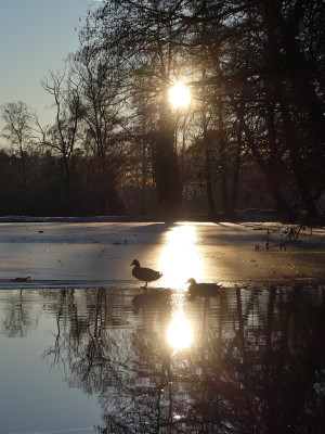 2021-12-26 Schlosspark 6.jpg