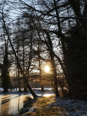 2021-12-26 Schlosspark 10.jpg