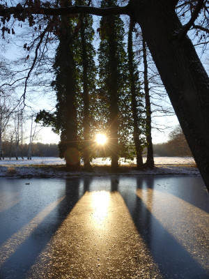 2021-12-26 Schlosspark 11.jpg