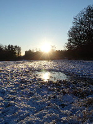 2021-12-26 Schlosspark 12.jpg