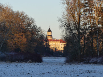 2021-12-26 Schlosspark 16.jpg