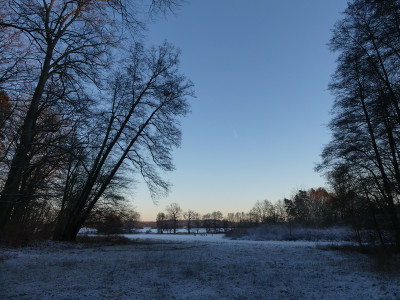 2021-12-26 Schlosspark 17.jpg
