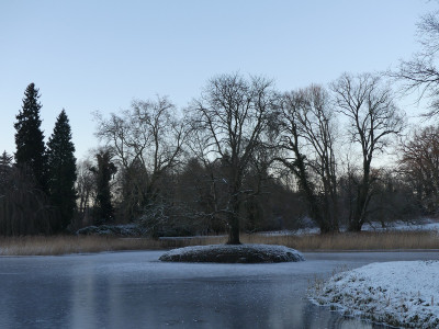 2021-12-26 Schlosspark 20.jpg