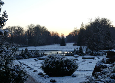 2021-12-26 Schlosspark 25.jpg