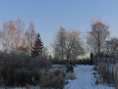 2021_1226Weihnachten20210007.JPG