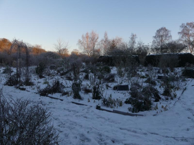 2021_1226Weihnachten20210011.JPG