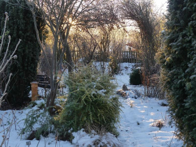 2021_1226Weihnachten20210039.JPG