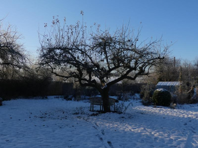 2021_1226Weihnachten20210079.JPG