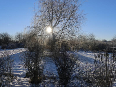 2021_1226Weihnachten20210100.JPG
