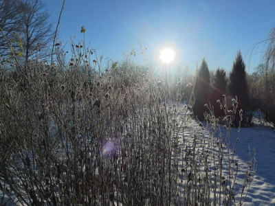 2021_1226Weihnachten20210104.JPG