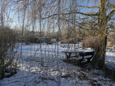 2021_1226Weihnachten20210106.JPG