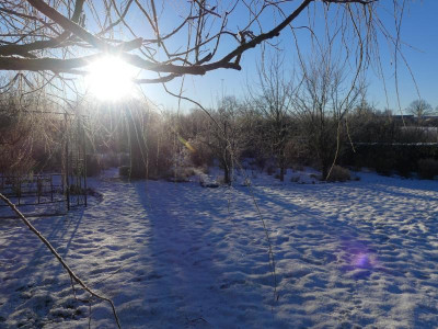 2021_1226Weihnachten20210109.JPG