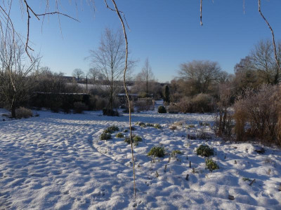 2021_1226Weihnachten20210110.JPG