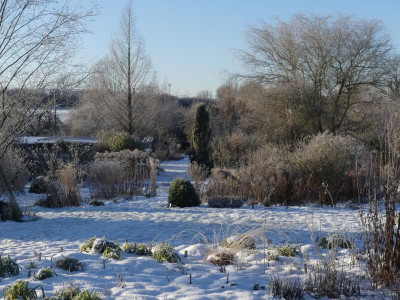 2021_1226Weihnachten20210111.JPG